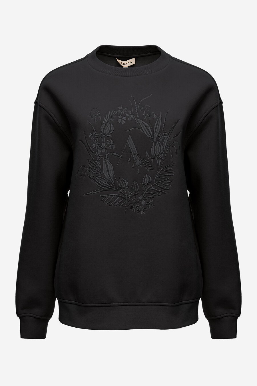 картинка 3102T.S25.001 Свитшот с логотипом BLACK от магазина Albana